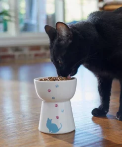Frisco Cat Print Non-skid Elevated Ceramic Cat Bowl, Tall -Pet Food Gear Shop 256098 PT2. SY630 V1616522547