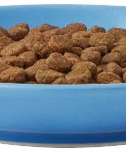 Frisco Cat Face Non-skid Ceramic Cat Dish, Blue, 0.50 Cup -Pet Food Gear Shop 256101 PT4. SY630 V1617130592