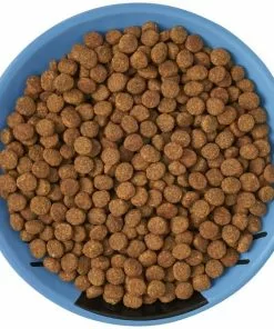 Frisco Cat Face Non-skid Ceramic Cat Dish, Blue, 0.50 Cup -Pet Food Gear Shop 256101 PT5. SY630 V1615321282