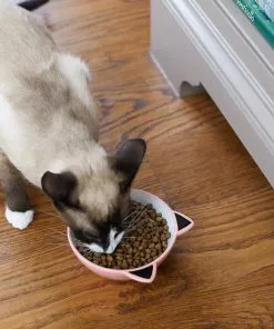 Frisco Cat Face Non-skid Ceramic Cat Bowl, Pink, 1.12 Cups 9 Frisco Cat Face Non-skid Ceramic Cat Bowl, Pink, 1.12 Cups -Pet Food Gear Shop 256107 PT2. SY630 V1616522589