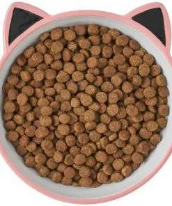Frisco Cat Face Non-skid Ceramic Cat Bowl, Pink, 1.12 Cups 11 Frisco Cat Face Non-skid Ceramic Cat Bowl, Pink, 1.12 Cups -Pet Food Gear Shop 256107 PT5. SY630 V1616522494