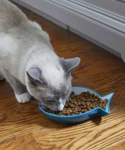 Frisco Fish Shaped Non-skid Ceramic Cat Dish, 0.62 Cups -Pet Food Gear Shop 256109 PT3. SY630 V1617196297