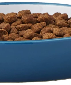 Frisco Fish Shaped Non-skid Ceramic Cat Dish, 0.62 Cups -Pet Food Gear Shop 256109 PT4. SY630 V1617196291