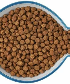 Frisco Fish Shaped Non-skid Ceramic Cat Dish, 0.62 Cups -Pet Food Gear Shop 256109 PT6. SY630 V1617196895