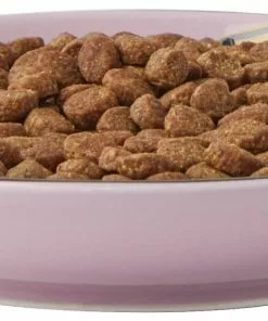 Frisco Paris Non-skid Ceramic Cat Dish, 0.62 Cup -Pet Food Gear Shop 256115 PT5. SY630 V1618494743