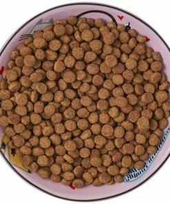 Frisco Paris Non-skid Ceramic Cat Dish, 0.62 Cup -Pet Food Gear Shop 256115 PT6. SY630 V1617196908