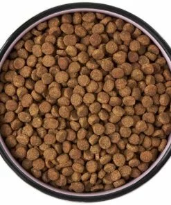 Frisco Paris Non-skid Ceramic Cat Dish, 1.62 Cup -Pet Food Gear Shop 256117 PT5. SY630 V1615311392