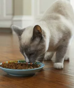 Frisco New York Non-skid Ceramic Cat Dish, 0.62 Cup -Pet Food Gear Shop 256119 PT4. SY630 V1618494708