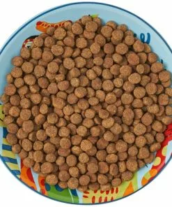 Frisco New York Non-skid Ceramic Cat Dish, 0.62 Cup -Pet Food Gear Shop 256119 PT6. SY630 V1617196905