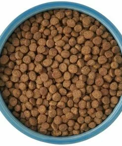 Frisco New York Non-skid Ceramic Cat Bowl, 1.62 Cups -Pet Food Gear Shop 256121 PT5. SY630 V1615311387