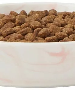Frisco Marble Design Non-skid Ceramic Cat Bowl, 1.25 Cups -Pet Food Gear Shop 256125 PT3. SY630 V1615312690