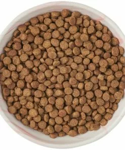 Frisco Marble Design Non-skid Ceramic Cat Dish, 0.75 Cup 13 Frisco Marble Design Non-skid Ceramic Cat Dish, 0.75 Cup -Pet Food Gear Shop 256127 PT5. SY630 V1615321285