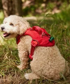 Frisco Outdoor Premium Ripstop Nylon Dog Harness with Pocket -Pet Food Gear Shop 256481 PT5. SY630 V1625589623