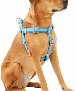 Frisco Outdoor Two Tone Waterproof Stinkproof PVC Dog Harness -Pet Food Gear Shop 256565 PT2. SY630 V1625165009