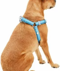 Frisco Outdoor Two Tone Waterproof Stinkproof PVC Dog Harness -Pet Food Gear Shop 256565 PT3. SY630 V1625164653