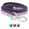 Frisco Outdoor Two Toned Waterproof Stink Proof PVC Dog Leash