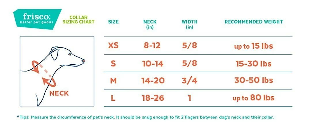 Frisco Outdoor Nylon Reflective Comfort Padded Dog Collar 4 Frisco Outdoor Nylon Reflective Comfort Padded Dog Collar - Image 2