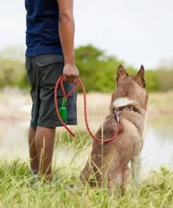 Frisco Outdoor Waterproof Stinkproof PVC Rope Leash -Pet Food Gear Shop 256760 PT5. SY630 V1625587621