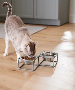 Frisco Diamond Dog & Cat Double Bowl Diner 14 Frisco Diamond Dog & Cat Double Bowl Diner -Pet Food Gear Shop 257147 PT5. SY630 V1615989105