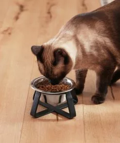 Frisco Iron Stand Dog & Cat Single Bowl Diner 16 Frisco Iron Stand Dog & Cat Single Bowl Diner -Pet Food Gear Shop 257150 PT7. SY630 V1615989141