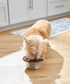 Frisco Flare Dog & Cat Bowl -Pet Food Gear Shop 257162 PT8. SY630 V1615840471