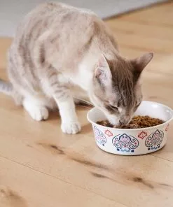 Frisco Bohemian Dog & Cat Bowl -Pet Food Gear Shop 257195 PT7. SY630 V1615989147