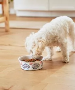 Frisco Bohemian Dog & Cat Bowl -Pet Food Gear Shop 257195 PT8. SY630 V1615932115