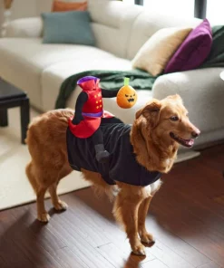 Frisco Headless Rider Dog & Cat Costume -Pet Food Gear Shop 260910 PT8. SY630 V1624461040