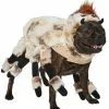 Frisco Spider Dog & Cat Costume