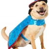 Frisco Wizard Dog & Cat Costume -Pet Food Gear Shop 260962 MAIN. SY630 V1624338516