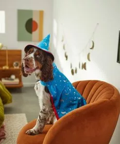 Frisco Wizard Dog & Cat Costume -Pet Food Gear Shop 260962 PT8. SY630 V1624335469