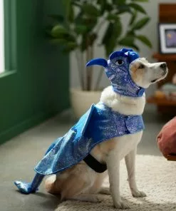 Frisco Dragon Dog & Cat Costume -Pet Food Gear Shop 260973 PT8. SY630 V1624341507