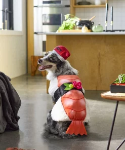 Frisco Sushi Dog & Cat Costume -Pet Food Gear Shop 260983 PT8. SY630 V1624397339