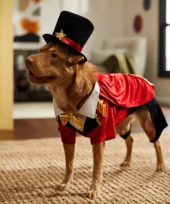 Frisco Ringmaster Dog & Cat Costume -Pet Food Gear Shop 261023 PT8. SY630 V1624398366