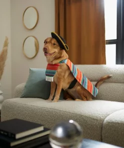 Frisco Serape Dog & Cat Costume -Pet Food Gear Shop 261041 PT8. SY630 V1624339394