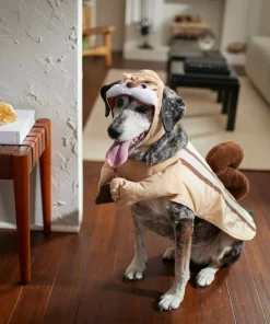 Frisco Chipmunk Dog & Cat Costume -Pet Food Gear Shop 261044 PT8. SY630 V1624399166