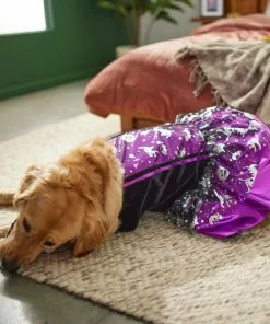 Frisco Midnight Witch Dog & Cat Costume -Pet Food Gear Shop 261058 PT8. SY630 V1624400298