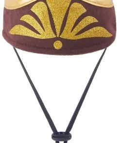 Frisco Front Walking Warrior Dog & Cat Costume -Pet Food Gear Shop 261086 PT7. SY630 V1624401576