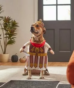 Frisco Front Walking Warrior Dog & Cat Costume -Pet Food Gear Shop 261086 PT8. SY630 V1624402357