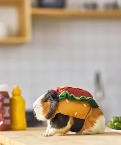 Frisco Hotdog Guinea Pig Costume, One Size -Pet Food Gear Shop 261093 PT8. SY630 V1624454761