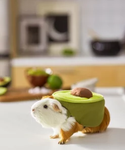 Frisco Avocado Guinea Pig Costume, One Size 11 Frisco Avocado Guinea Pig Costume, One Size -Pet Food Gear Shop 261095 PT8. SY630 V1624454728