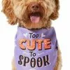 Frisco Too Cute to Spook Dog & Cat Bandana -Pet Food Gear Shop 261098 MAIN. SY630 V1624305781