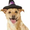 Frisco Midnight Witch Dog & Cat Hat -Pet Food Gear Shop 261106 MAIN. SY630 V1631810796