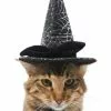 Frisco Cobweb Witch Dog & Cat Hat -Pet Food Gear Shop 261109 MAIN. SY630 V1625075886