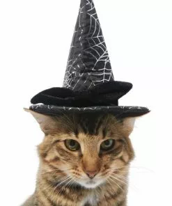 Frisco Cobweb Witch Dog & Cat Hat