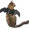 Frisco Bat Wings Dog & Cat Costume -Pet Food Gear Shop 261113 MAIN. SY630 V1625076458