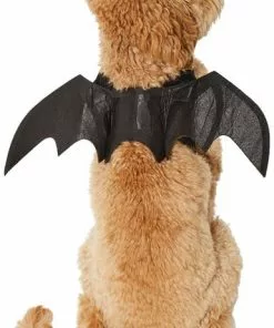 Frisco Bat Wings Dog & Cat Costume -Pet Food Gear Shop 261113 PT2. SY630 V1625077070