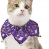 Frisco Spooky Halloween Cat Collar Ruffle, One Size