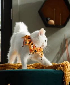 Frisco Whimsical Halloween Cat Collar Ruffle, One Size -Pet Food Gear Shop 261120 PT8. SY630 V1624306105
