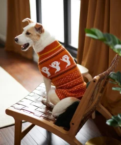 Frisco Ghost Fair Isle Dog & Cat Sweater -Pet Food Gear Shop 261130 PT8. SY630 V1624336757